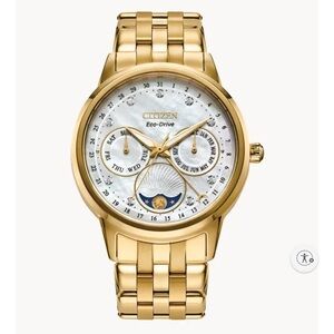 Citizen Gold Timepiece with White Face